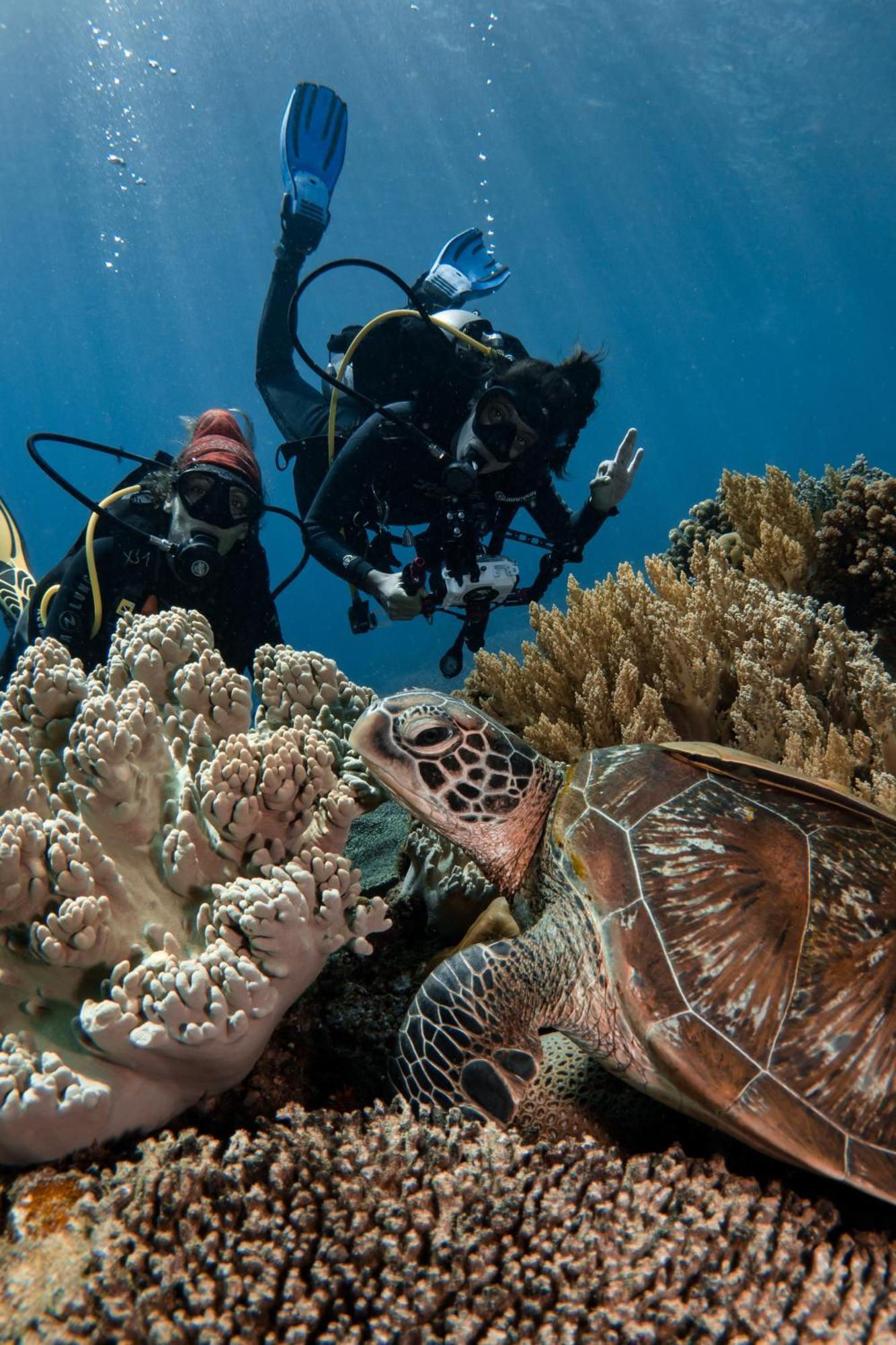 Vitaminsea Room داوين المظهر الخارجي الصورة